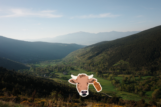 Baselayer Challenge Cerdanya 2026